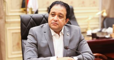 ماذا قال رئيس لجنة حقوق الإنسان بالبرلمان عن السجون المصرية؟