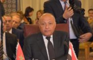 وزير الخارجية يصل إلى سلطنة عمان حاملا رسالة من الرئيس السيسى