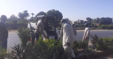 بالصور.. أسبوع النظافة يتواصل بالأقصر بتجميل المسار السياحى أمام مدينة الطود
