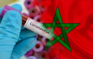 سفارة المغرب بالقاهرة تتخذ حزمة إجراءات لمساعدة المواطنين المتواجدين في مصر