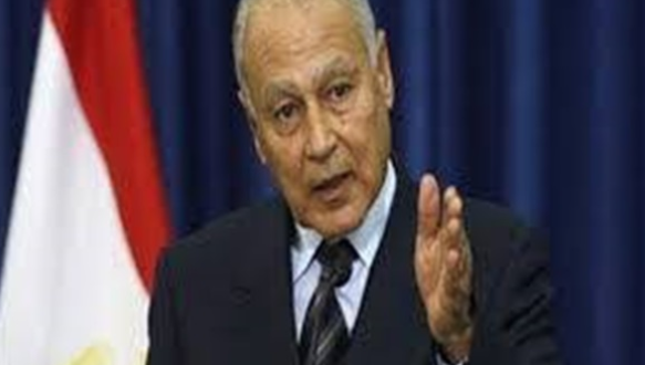 أبو الغيط: الطيور الجارحة المتربصة بالبلدان العربية تشكل خطرًا