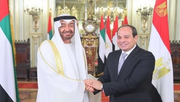 الرئيس السيسي وبن زايد يبحثان آليات التعاون لمكافحة انتشار كورونا