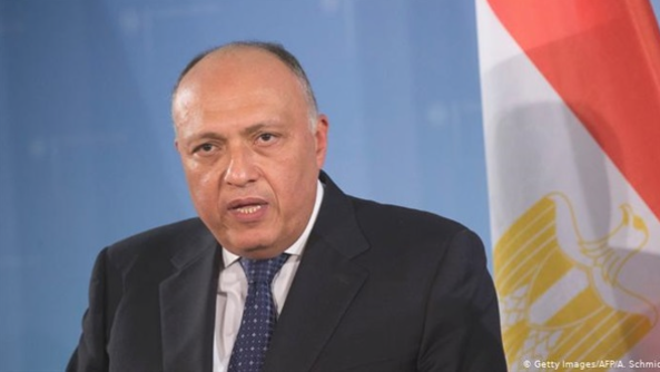 وزير الخارجية يؤكد حرص مصر على مساندة جهود تسوية الأزمة السورية