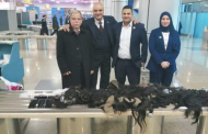 إحباط تهريب كمية من الشعر المستعار والهواتف المحمولة مع راكب في مطار القاهرة