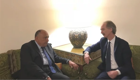 سامح شكري: يجب التصدي لمخاطر تسرب المقاتلين الأجانب إلى سوريا
