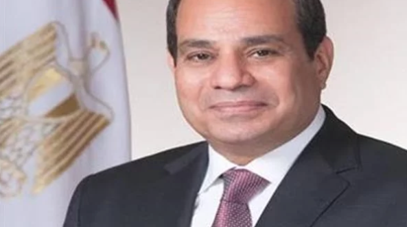 السيسي ورئيس شنايدر إليكتريك يتفقان على إنشاء الشركة مراكز التحكم في شبكات الكهرباء