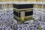 أسراب الجراد في السعودية؟