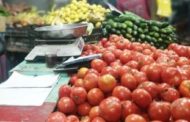 الزراعة: لجان لمتابعة الخضر الصيفية لزيادة المعروض ومواجهة التقلبات الجوية