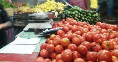 الزراعة: لجان لمتابعة الخضر الصيفية لزيادة المعروض ومواجهة التقلبات الجوية
