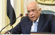 عبد العال : الفلاحين والمزارعين أكثر الفئات التي تعمل في الدولة ولا تشتكي
