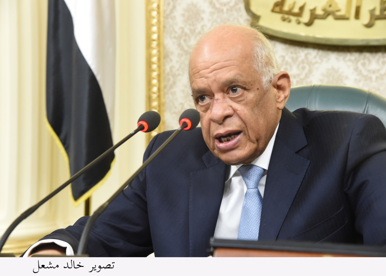 عبد العال : الفلاحين والمزارعين أكثر الفئات التي تعمل في الدولة ولا تشتكي