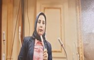 مقترح برلماني لإنشاء شركة قابضة لاستثمار أموال العائدين من الخارج