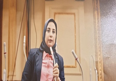 مقترح برلماني لإنشاء شركة قابضة لاستثمار أموال العائدين من الخارج