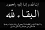 وزيرة الهجرة تتفق مع مدير Watch iT على عرض 
