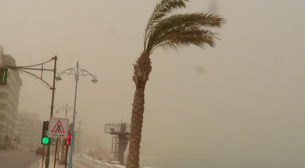قبل ماتنزل من البيت.. شوف حالة الطقس 