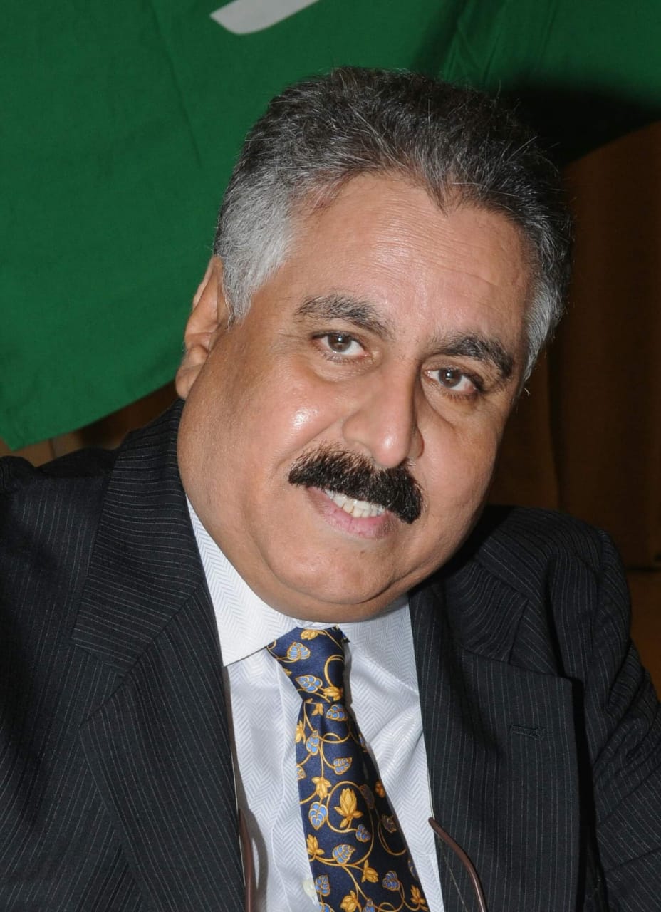 القاهرة تحتفي بـ 