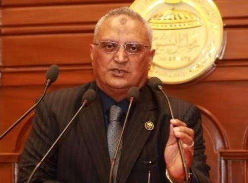 عبده أبو عايشة : التحول نحو الاقتصاد الأخضر لمواجهة التغيرات المناخية يسير وفق استراتيجية مصرية واضحة بتوجيهات السيسي