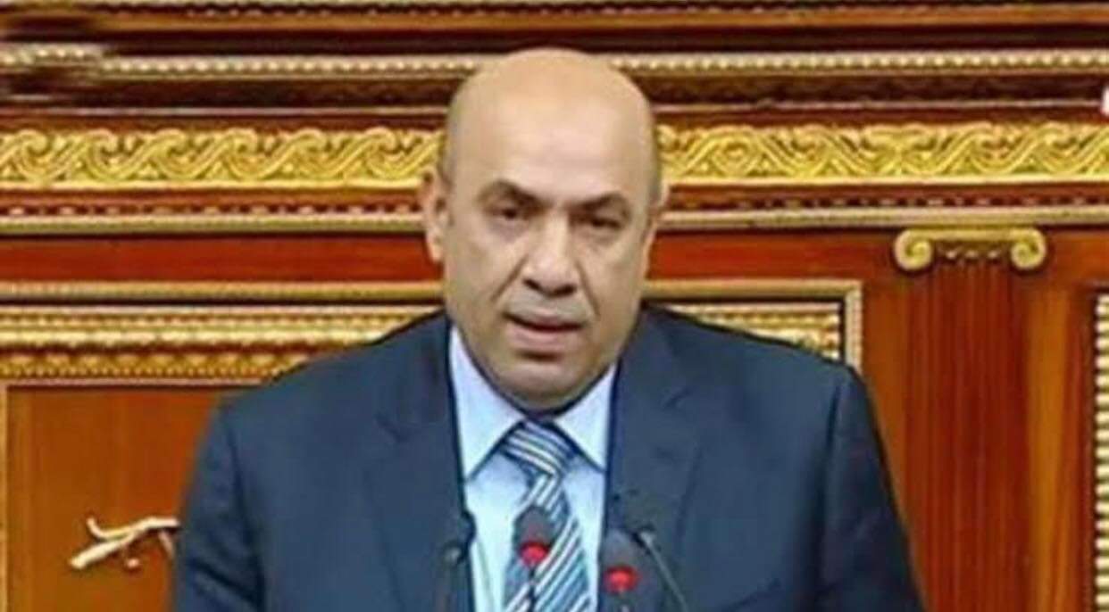 النائب علاء عبدالنبي : تطوير المنظومة التعاقدية يساهم في تحقيق الأمن الغذائي 
