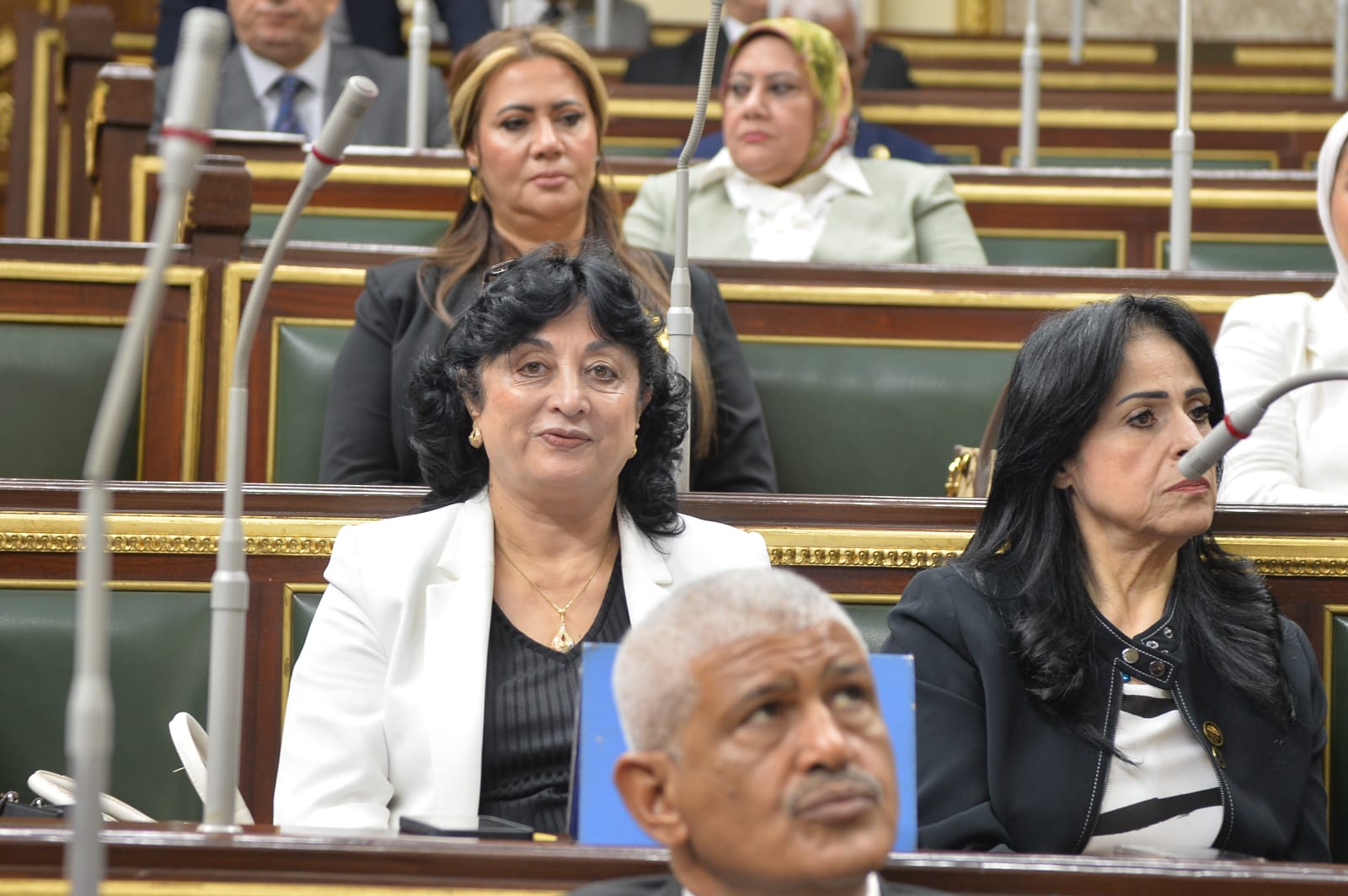 النائبة ميرفت عازر: خطاب السيسي بختام المؤتمر الاقتصادي اتسم بالمصارحة والمكاشفة.. وتؤكد: خارطة طريق للمستقبل