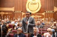 النائب عمرو فهمي : كلمة السيسي بقمة جدة بعثت رسائل حاسمة وحلول اتجاه القضايا الإقليمية والعربية