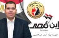 قيادي ب «حماة وطن»: نقل الخبرات والتجارب المصرية للأشقاء الأفارقة يعكس حرص مصر على تنمية القارة السمراء