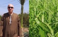 نقابة الفلاحين والمنتجين الزراعيين تطالب بالتوسع في زارعة 