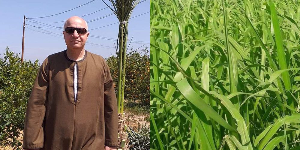 نقابة الفلاحين والمنتجين الزراعيين تطالب بالتوسع في زارعة 