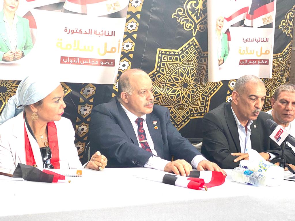 النائبه امل سلامة : الرئيس السيسي يقود سفينة الوطن الى بر الأمان