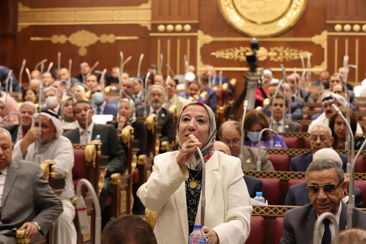 النائبة حياة خطاب: مصر تواجه حرب الشائعات للتشكيك في إنجازات الدولة المصرية