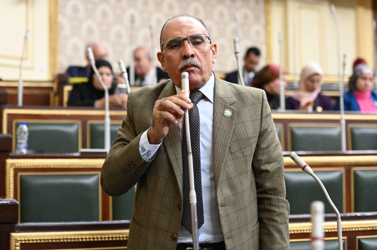 عبد الفتاح الشحات: الأجراءات الجنائية تتويج لجهود القيادة السياسيه ووزارة الداخلية في دعم حقوق الإنسان