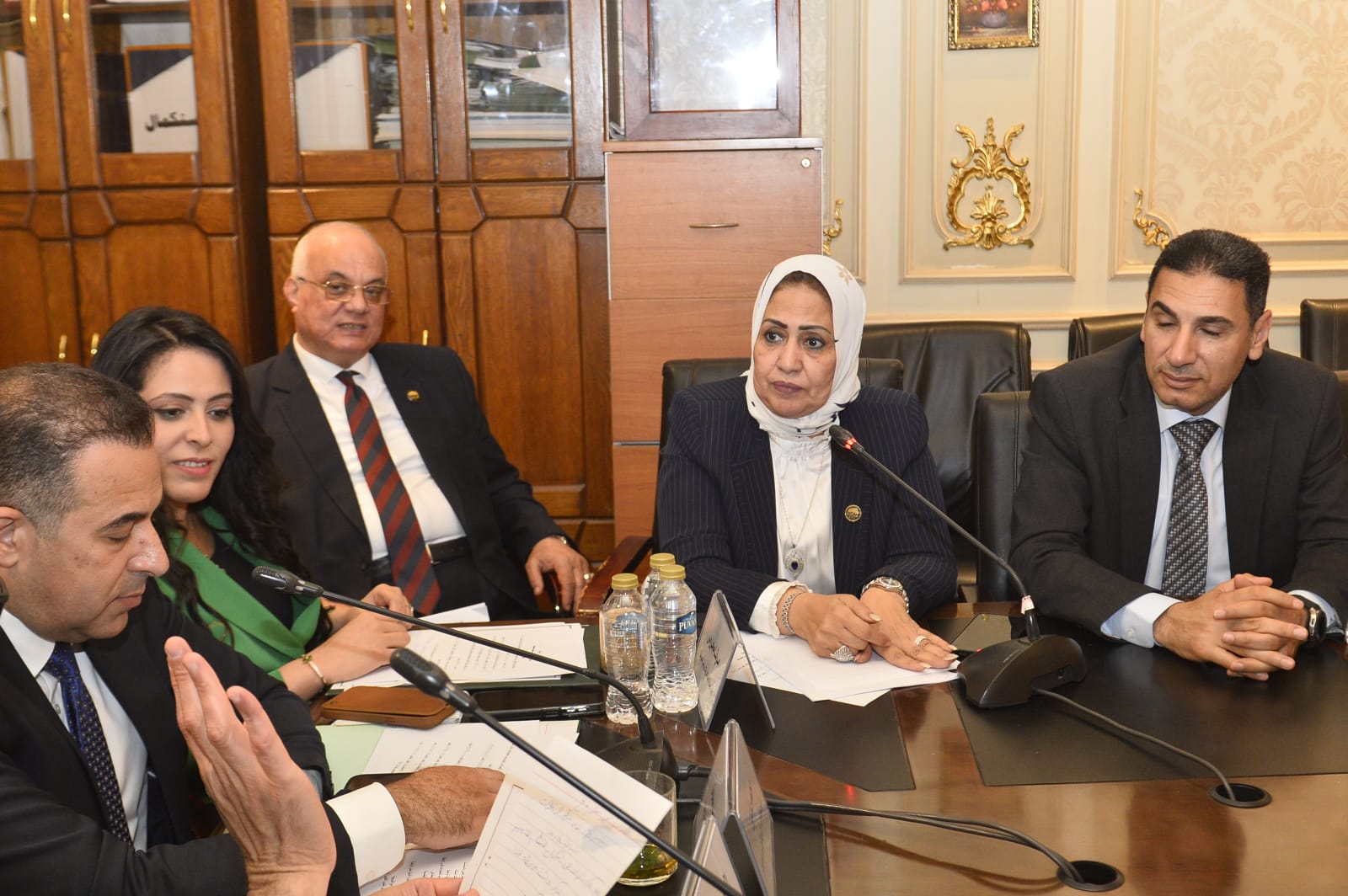القومي لتنظيم الاتصالات يستجيب لسحر صدقي بتوصيل الفايبر لقرية العوامر بني برزه بابوتشت وشبكات المحمول علي طرق الصعيد 