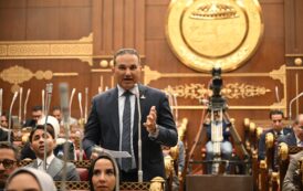 النائب تامر عبد الحميد: التوافق السياسي بين مصر والسعودية يُمثل ركيزة لحماية الأمن القومي العربي واستقرار المنطقة