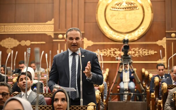 النائب تامر عبد الحميد: التوافق السياسي بين مصر والسعودية يُمثل ركيزة لحماية الأمن القومي العربي واستقرار المنطقة