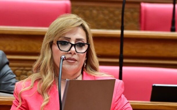 النائبة هبة غالي:الشرطة والقوات المسلحة جناحا أمن واستقرار الوطن.. والوعي الوطني ضرورة لمواجهة حملات التشويه وحماية مؤسسات الدولة من محاولات الاستهداف